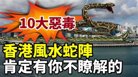 香港蛇陣破解 車牌影響運勢